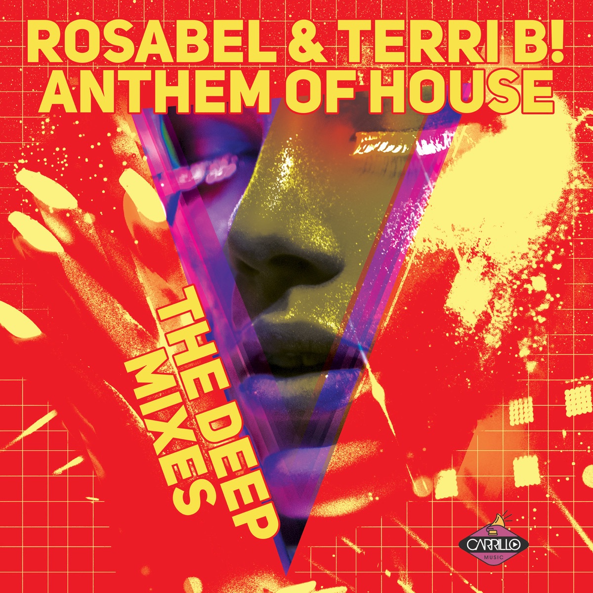 Anthem of House (The Deep Mixes) by Terri B! & Rosabel album cover