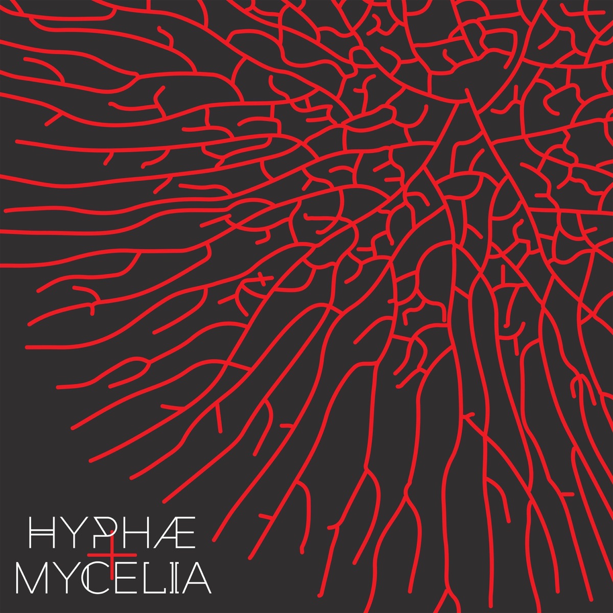 Hyphae+ Mycelia by Sabiani album cover