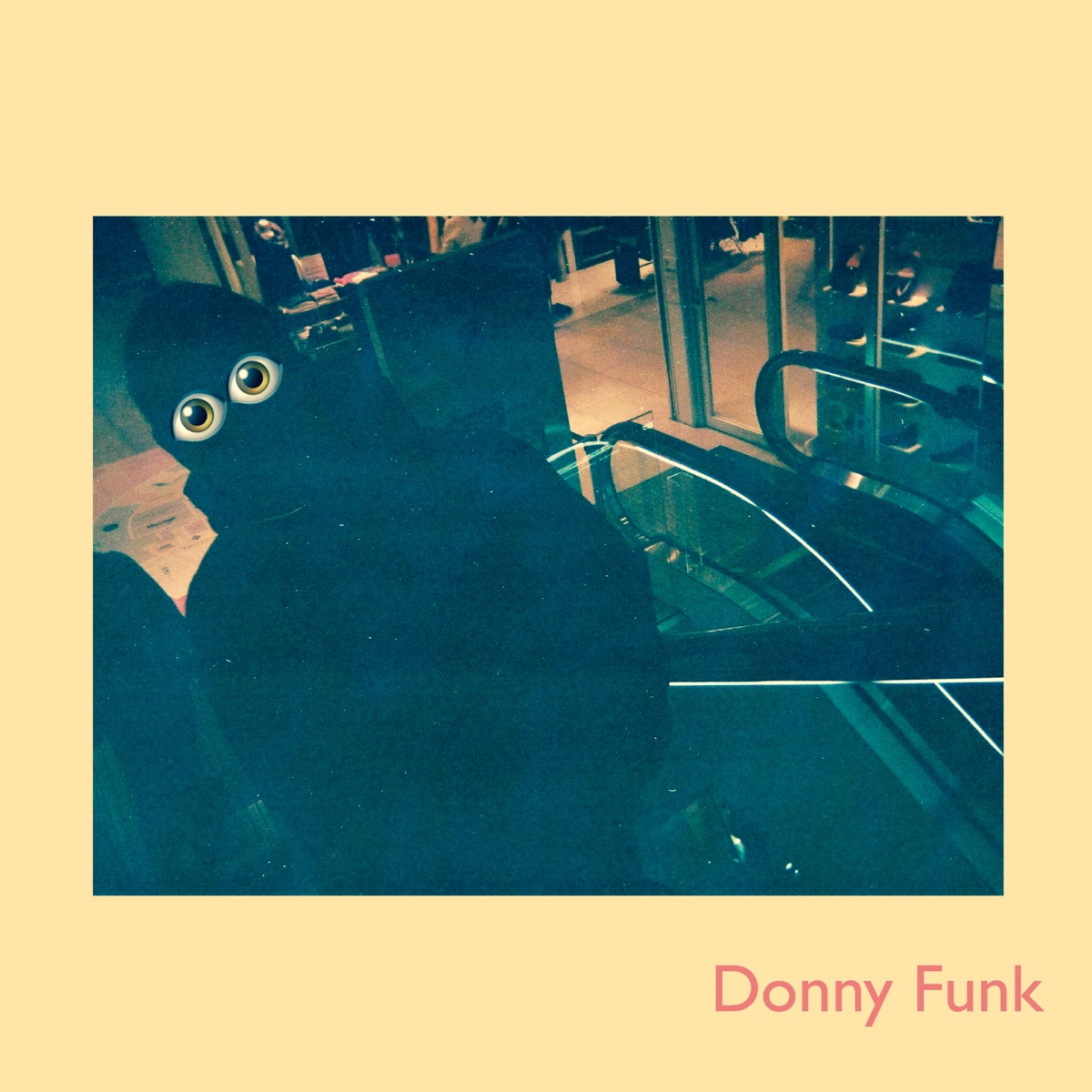 Donny Funk by Donatello album cover