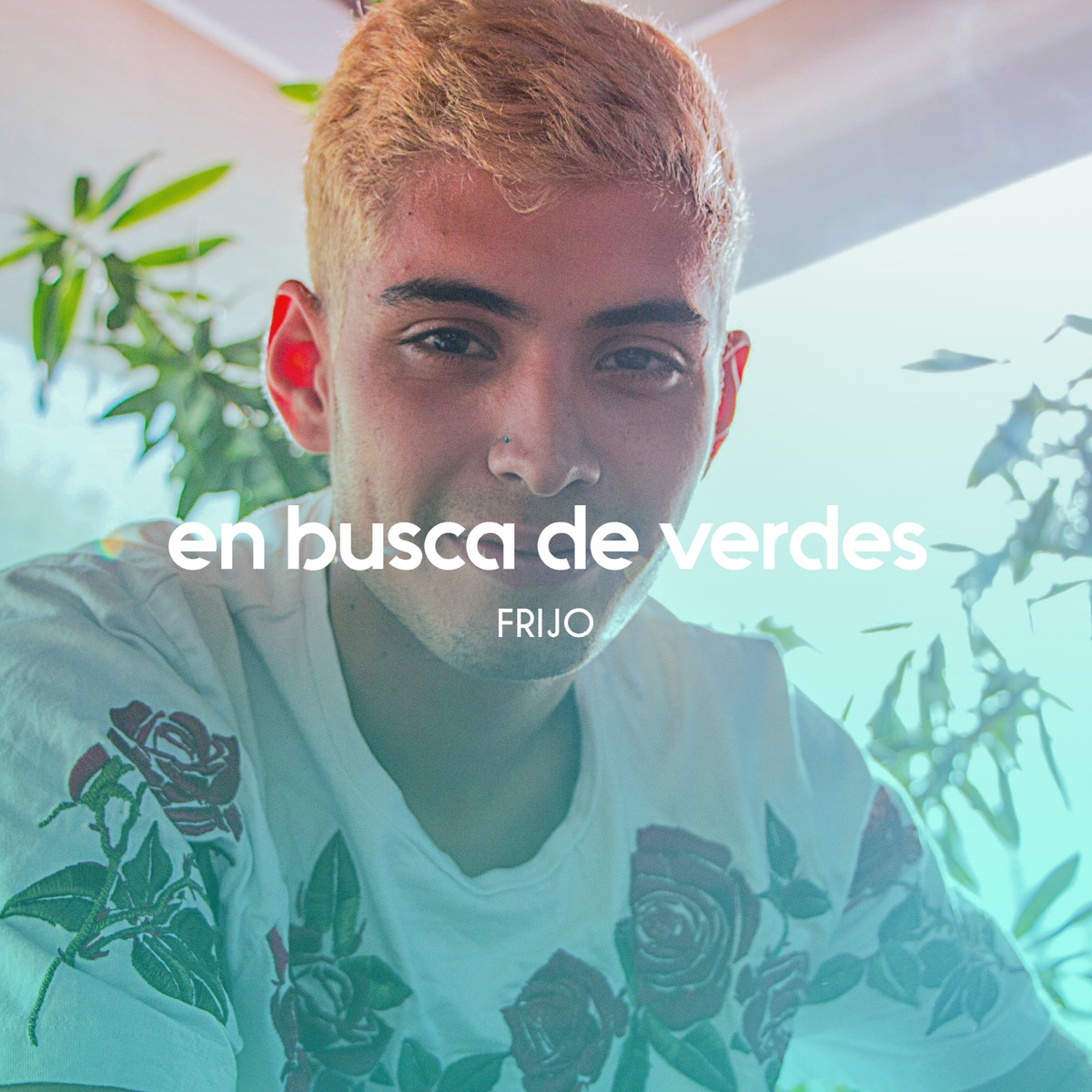 En Busca de Verdes (feat. Paulo Londra, Trainer & Big Soto) - Single by Frijo album cover