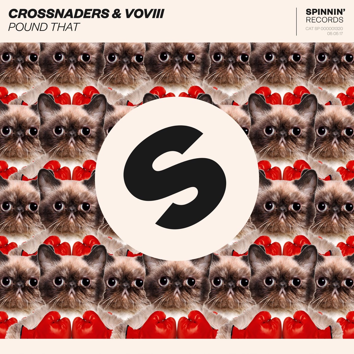 Pound That - Single by Crossnaders & VOVIII album cover