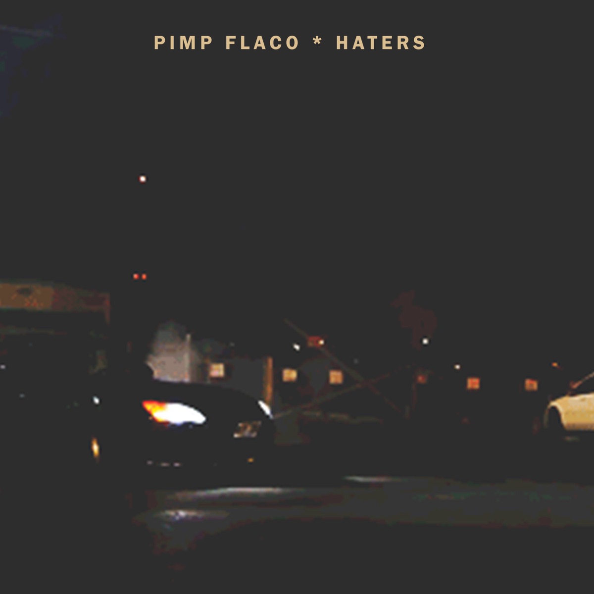Haters - Single by Pimp Flaco album cover
