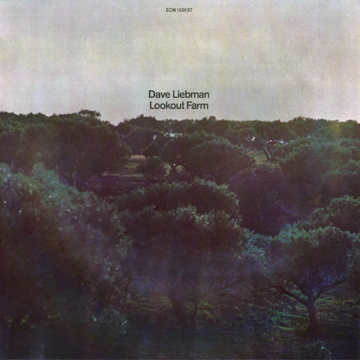 Lookout Farm by Dave Liebman album cover