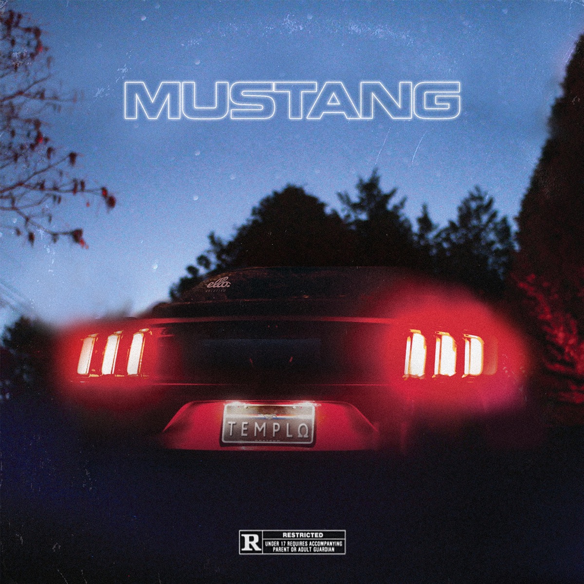 Mustang (feat. DaMáfia, Gábe, Santa Rosa & NK) - Single by 808 Luke album cover