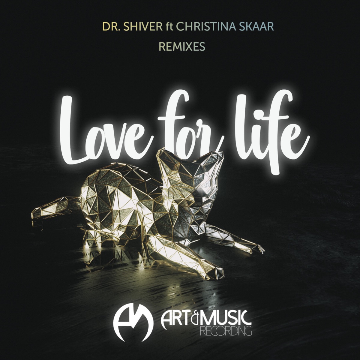 Love for Life (Leonail, Jesse James, Felix Schorn, Magnus Foss Remixes) [feat. Christina Skaar] - EP by Dr. Shiver album cover