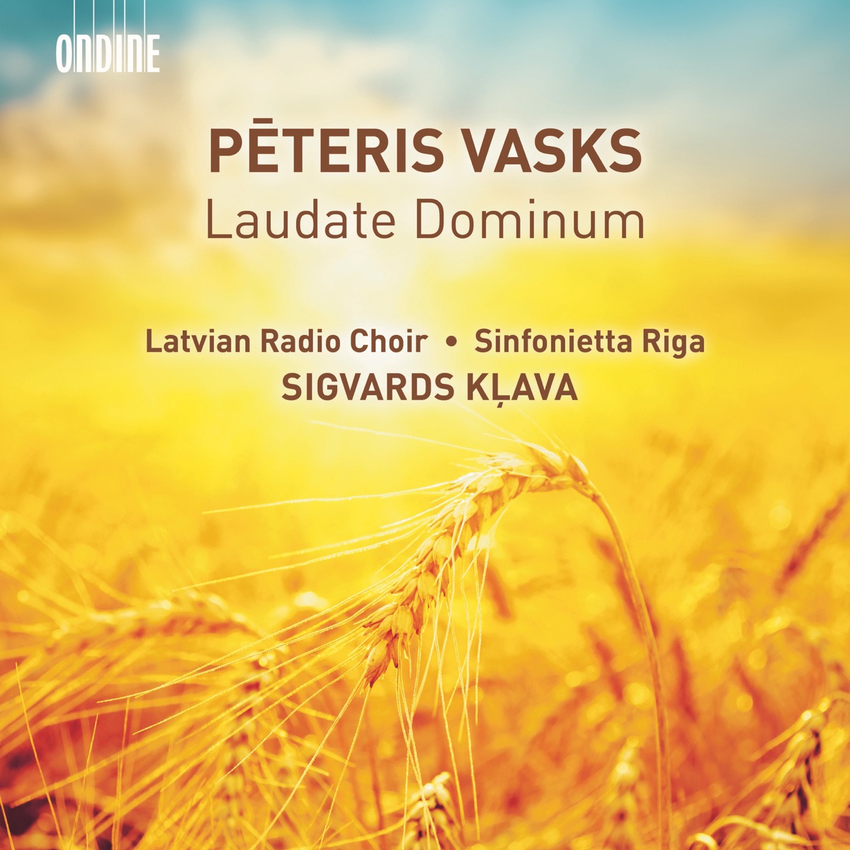 Vasks: Laudate Dominum by Latvian Radio Choir, Sinfonietta Rīga & Sigvards Kļava album cover