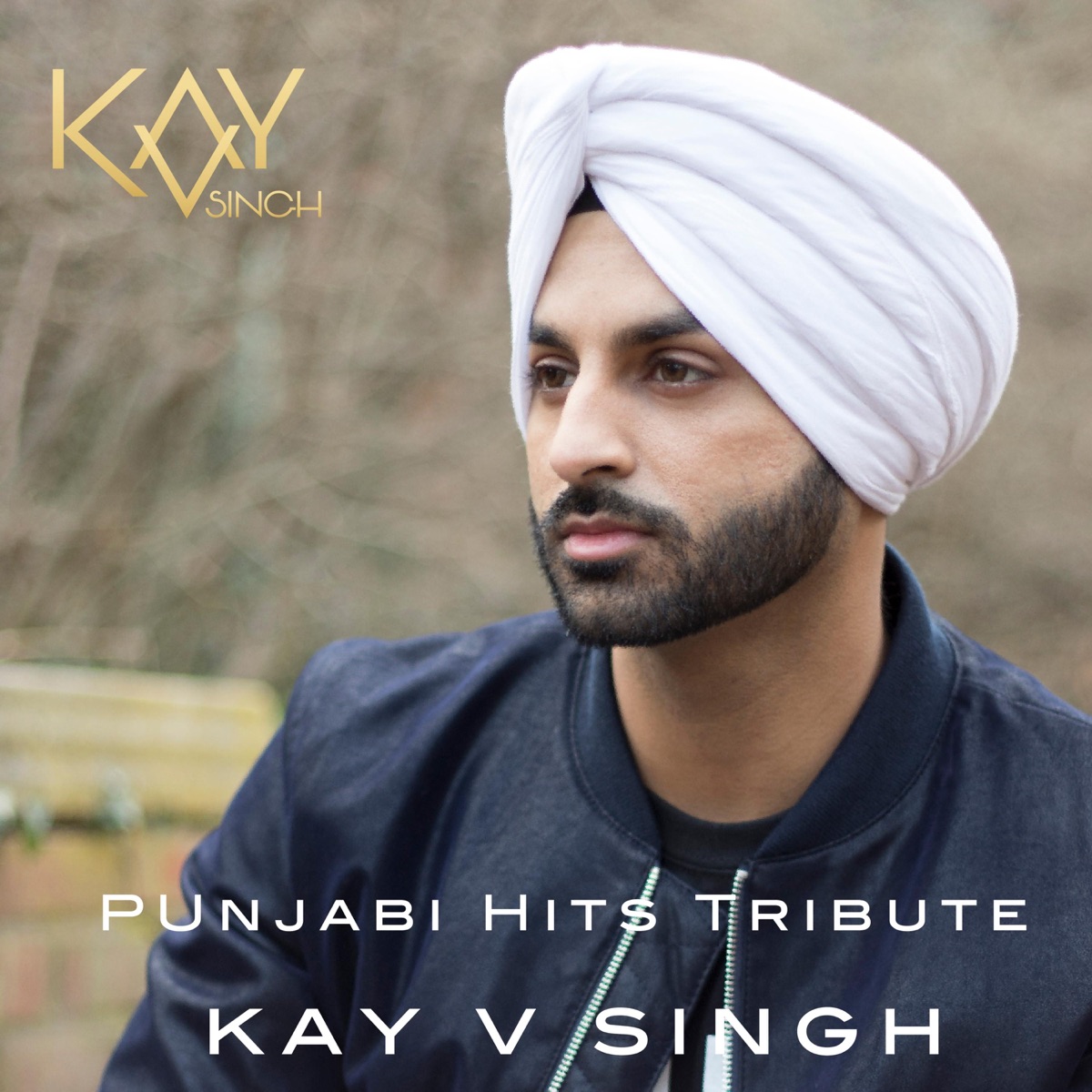 Punjabi Hits Tribute - Single by Kay v Singh album cover
