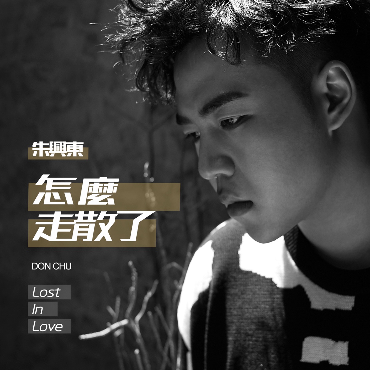 怎麼走散了 - Single by Don Chu album cover
