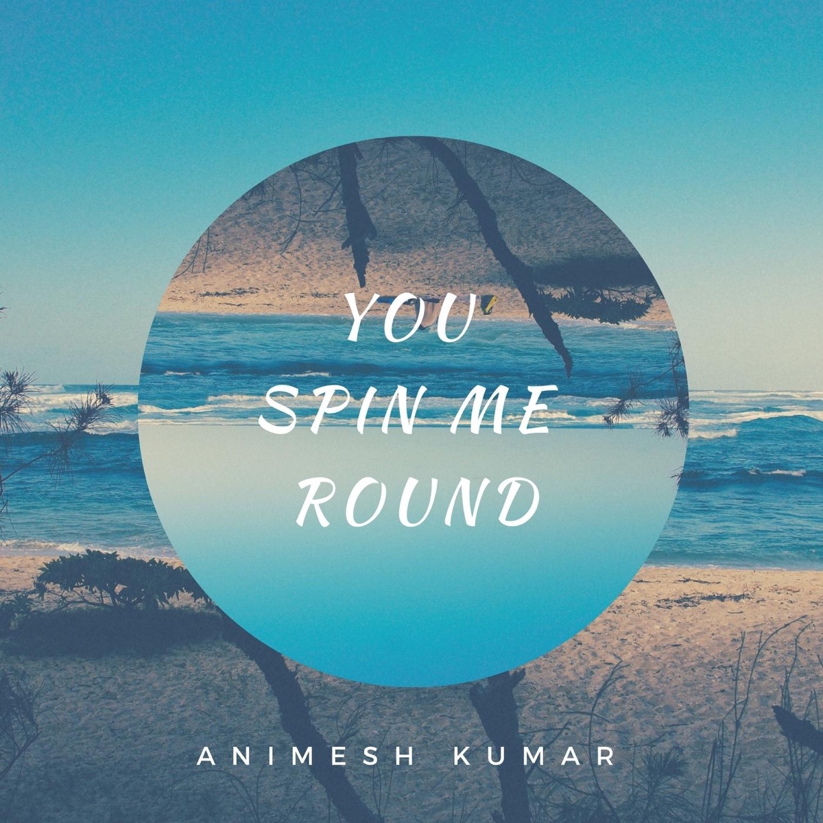You Spin Me Round - Single by Animesh Kumar album cover