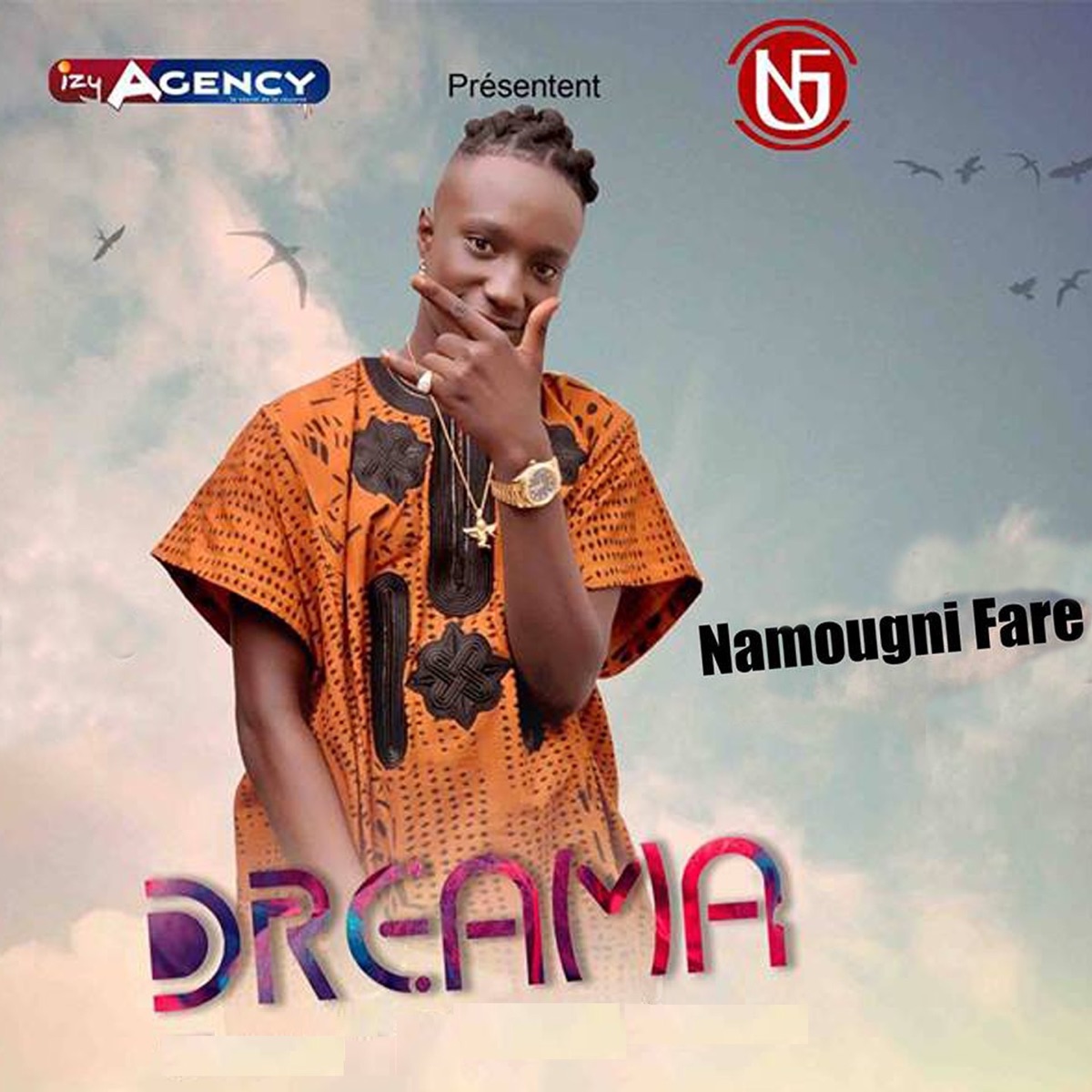 Namougni Fare - Single by Dreama album cover
