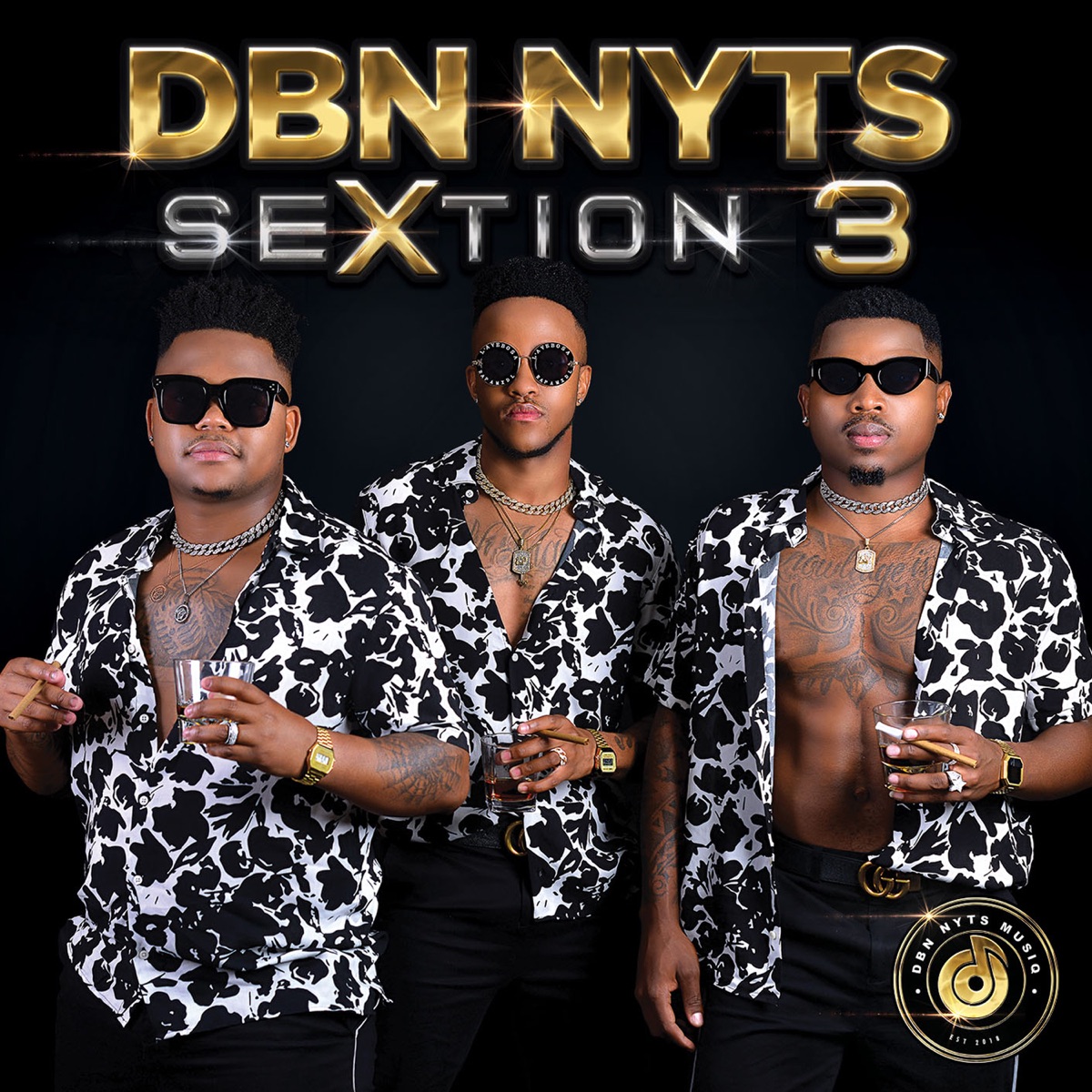 SeXtion 3 by Dbn Nyts album cover