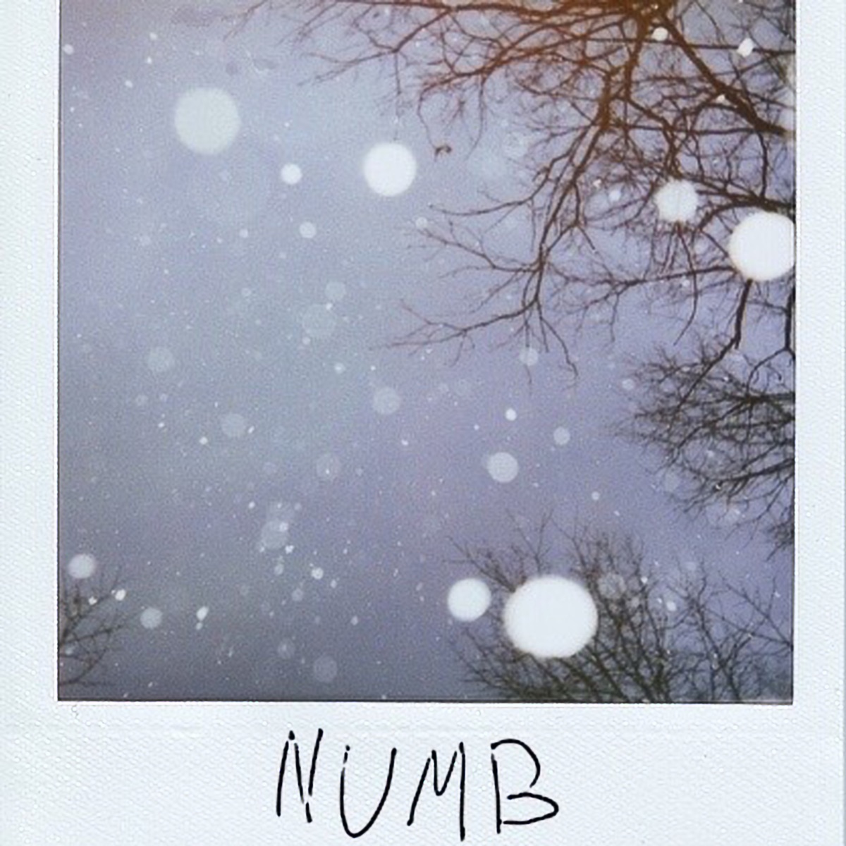 Numb - Single by Brennan Savage album cover