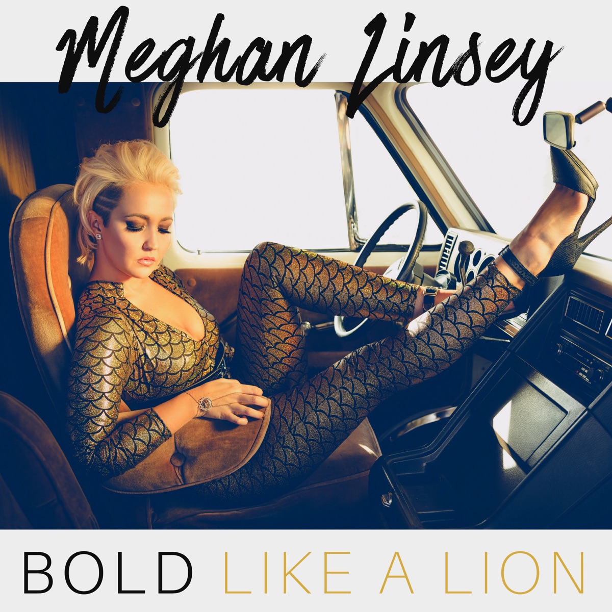 Bold Like a Lion by Meghan Linsey album cover
