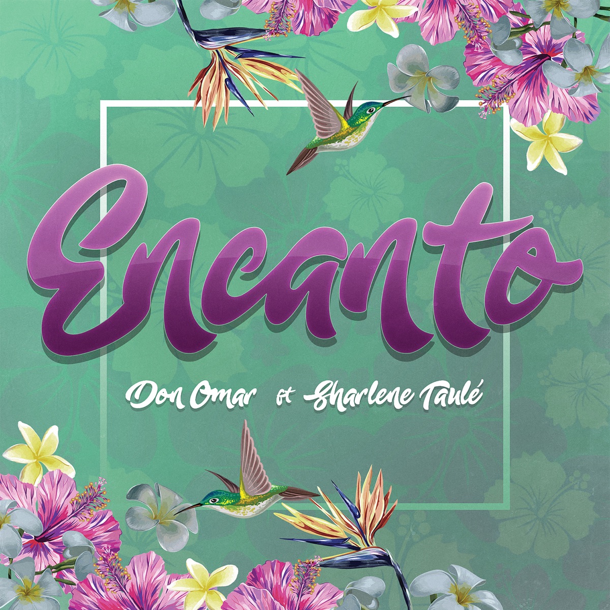 Encanto (feat. Sharlene Taule) - Single by Don Omar album cover