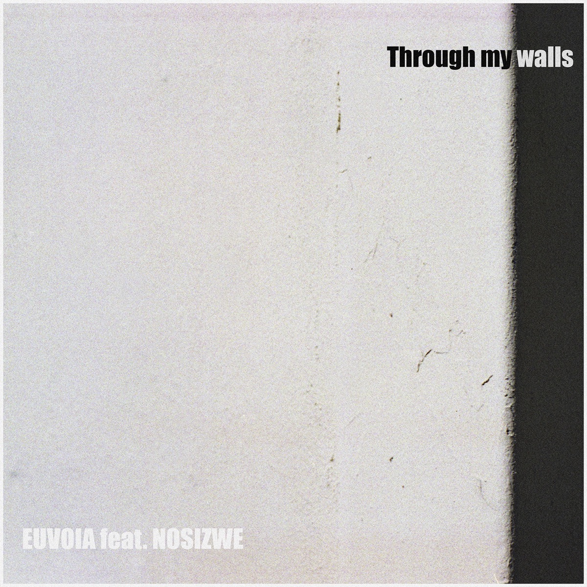 Through My Walls - Single by Nosizwe & DJ Soulbase album cover
