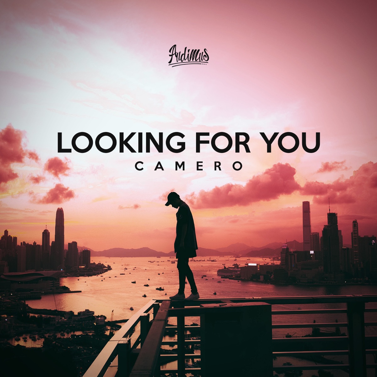 Looking 4 U - Single by Camero album cover