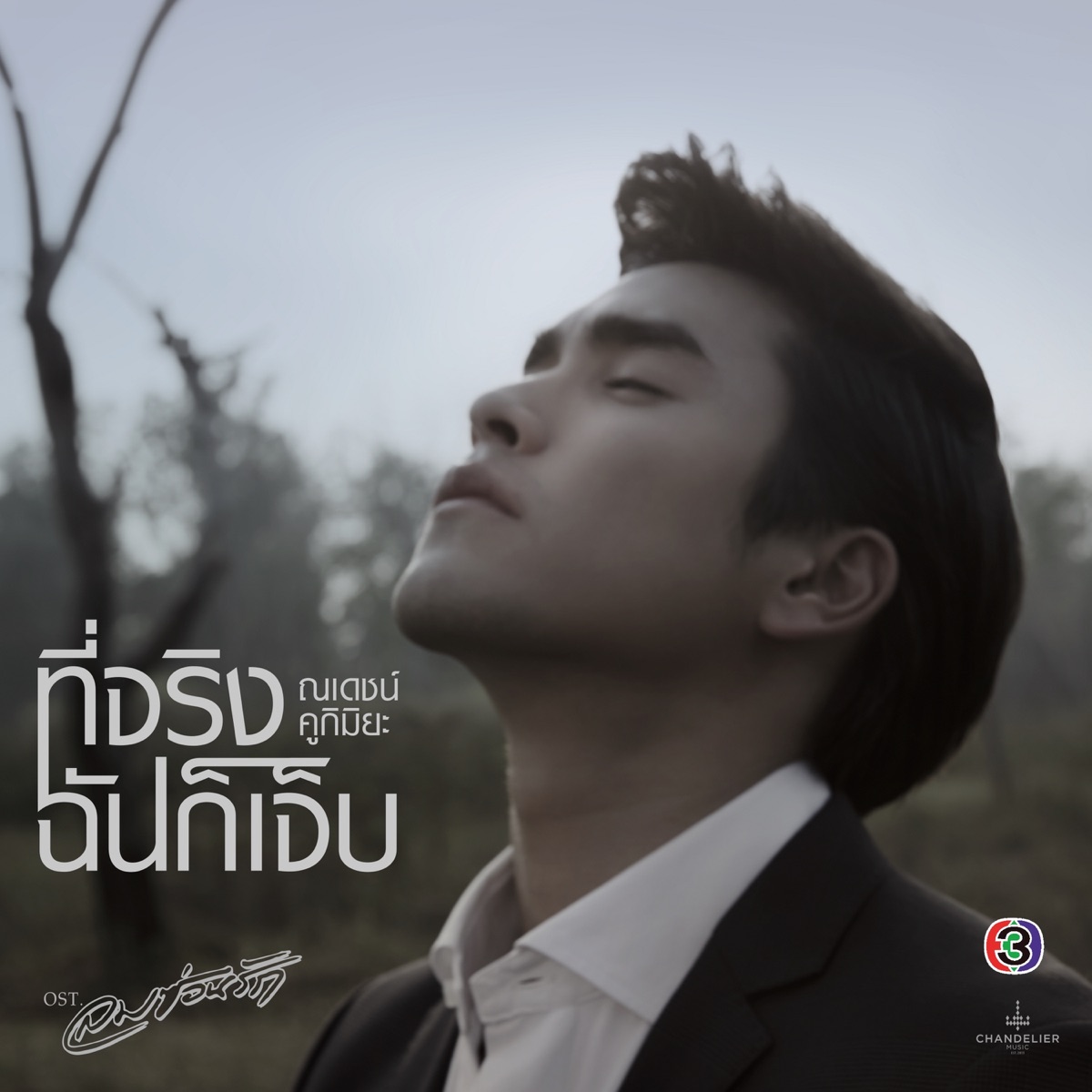 ที่จริงฉันก็เจ็บ (เพลงประกอบละคร ลมซ่อนรัก) - Single by Nadech Kugimiya album cover