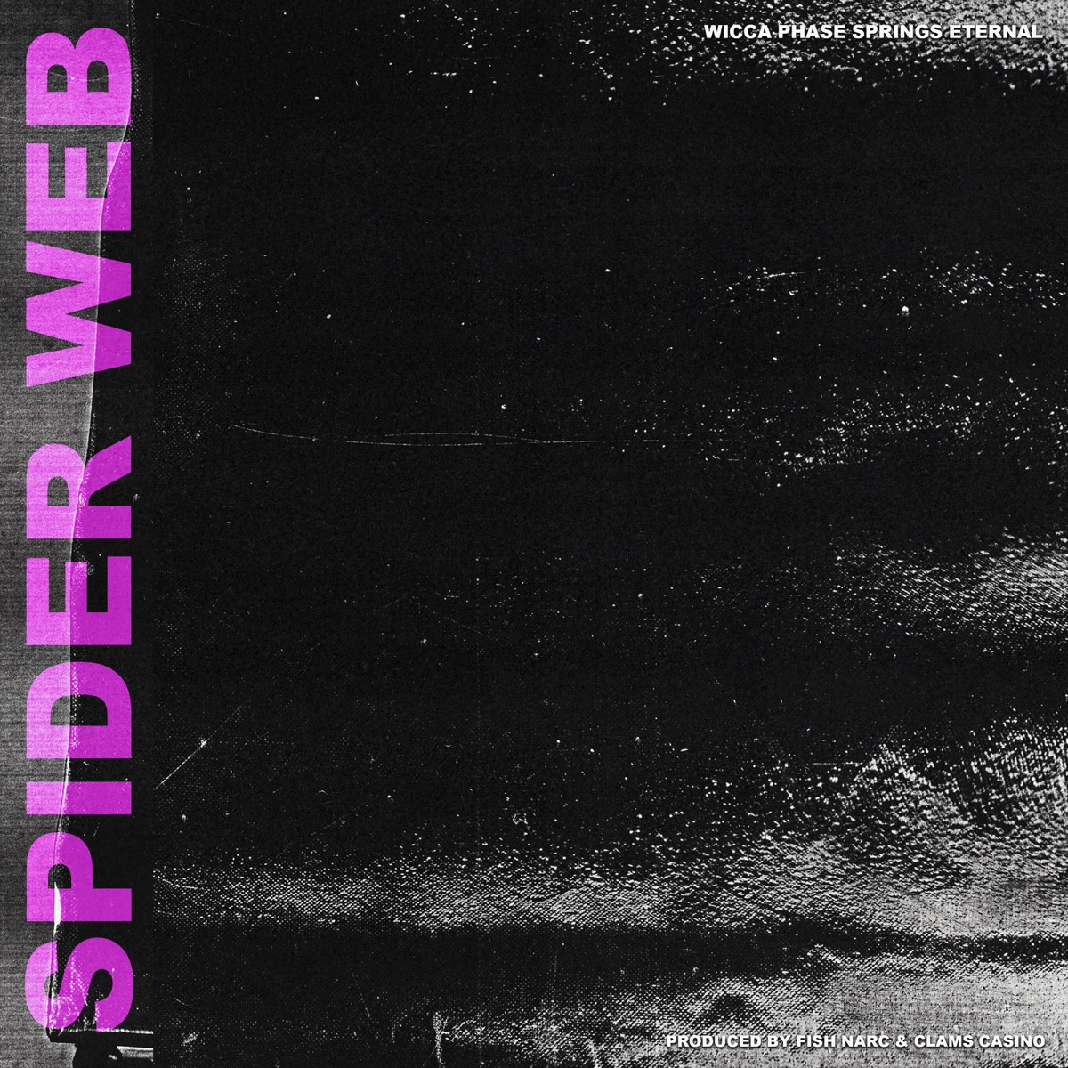 Spider Web - EP by fish narc, Clams Casino & Wicca Phase Springs Eternal album cover