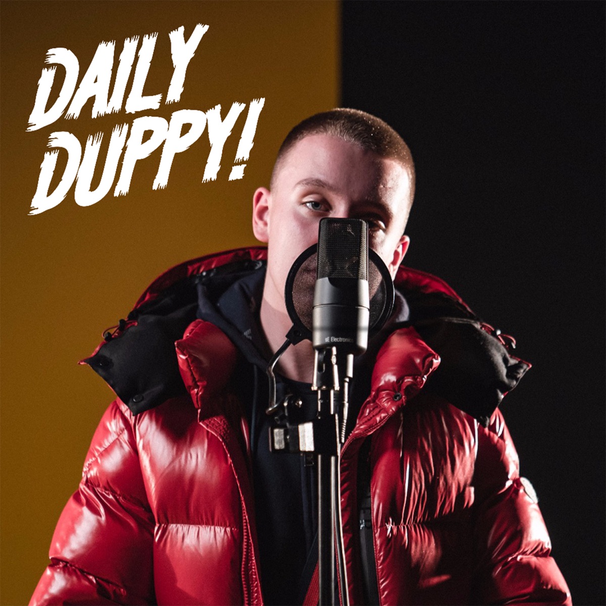 Daily Duppy (feat. GRM Daily) - Single by Aitch album cover