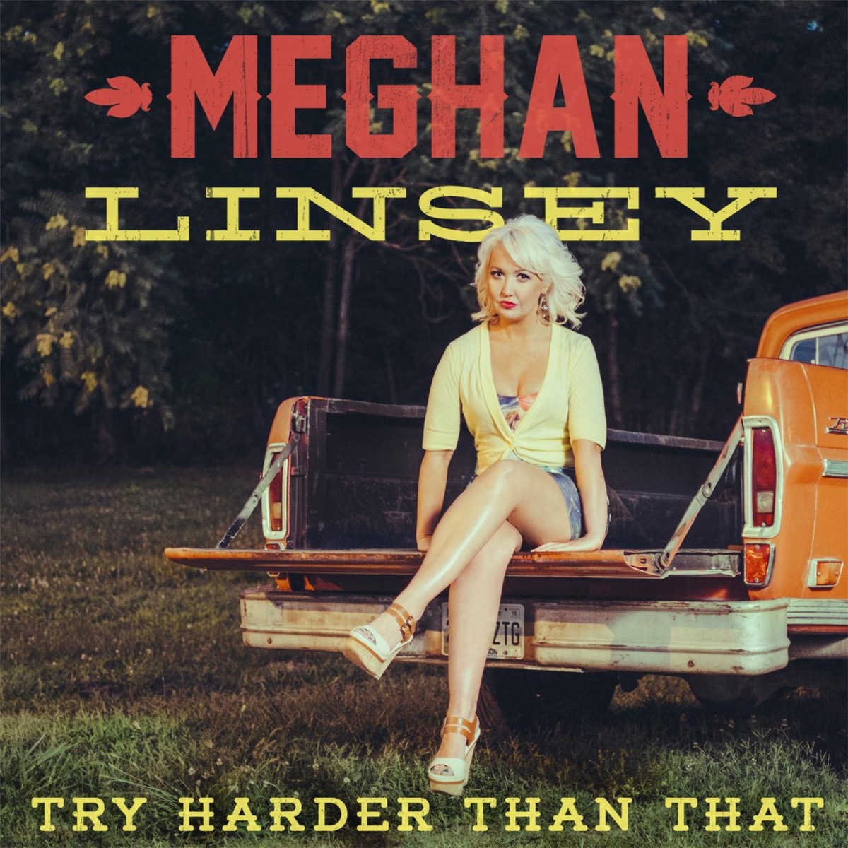 Try Harder Than That (No Rap Edit) - Single by Meghan Linsey album cover