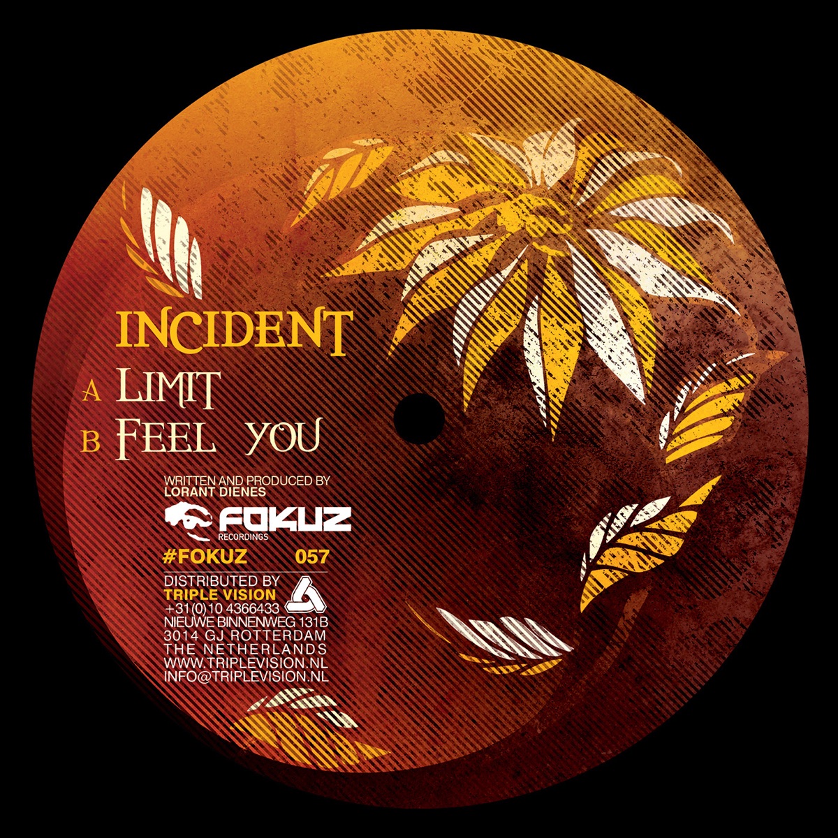 Limit / Feel You - Single by Incident album cover