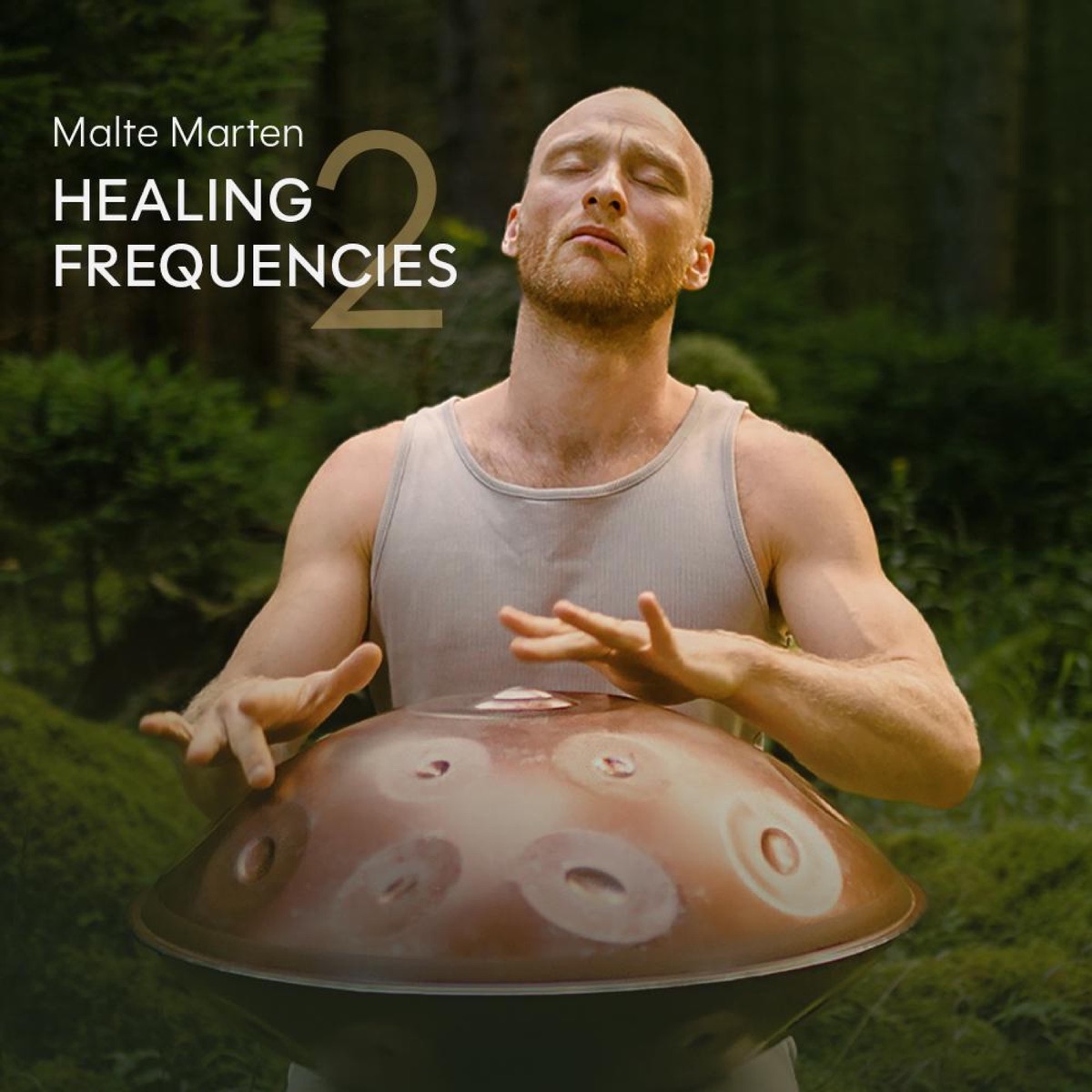 Healing Frequencies 2 by Malte Marten album cover