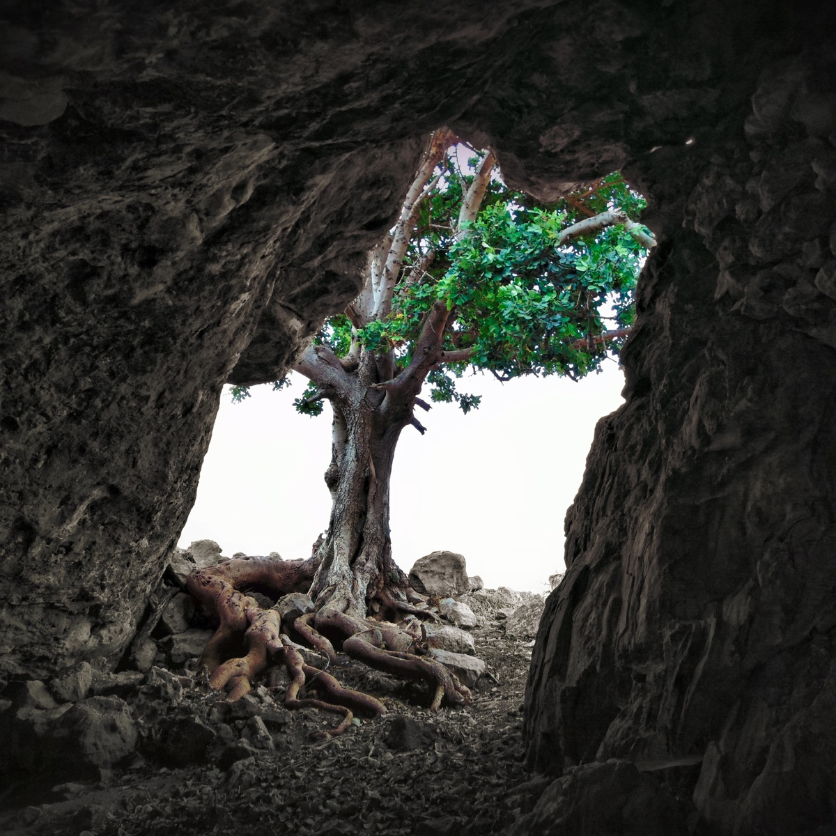 Ston hrono pou menei by Michalis Kontaxakis album cover
