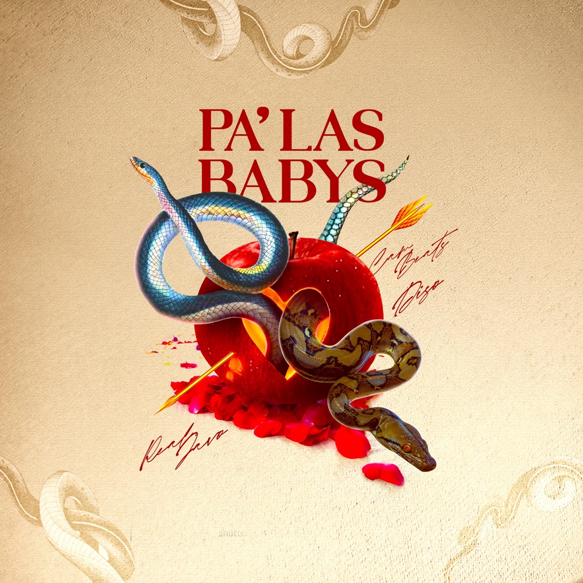 Pa' Las Babys by Javo Na Ma album cover