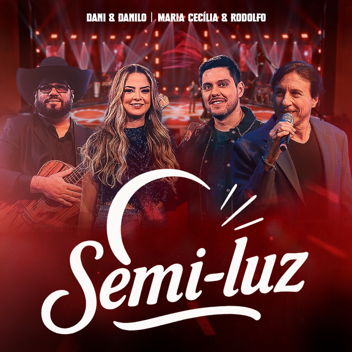 Semi Luz (Ao Vivo) - Single by Dani & Danilo & Maria Cecília & Rodolfo album cover