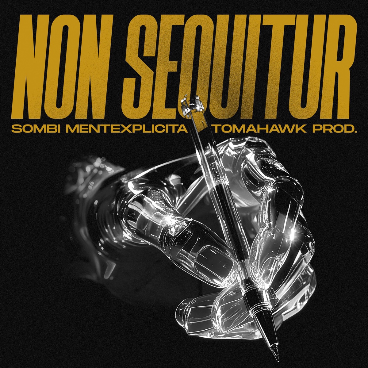 NON SEQUITUR - Single by Sombi MenteXplicita & Tomahawk prod album cover
