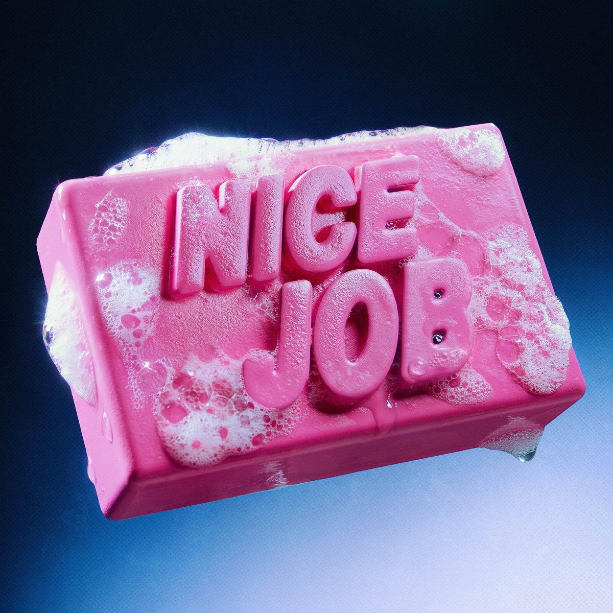 NICE JOB by Fill album cover