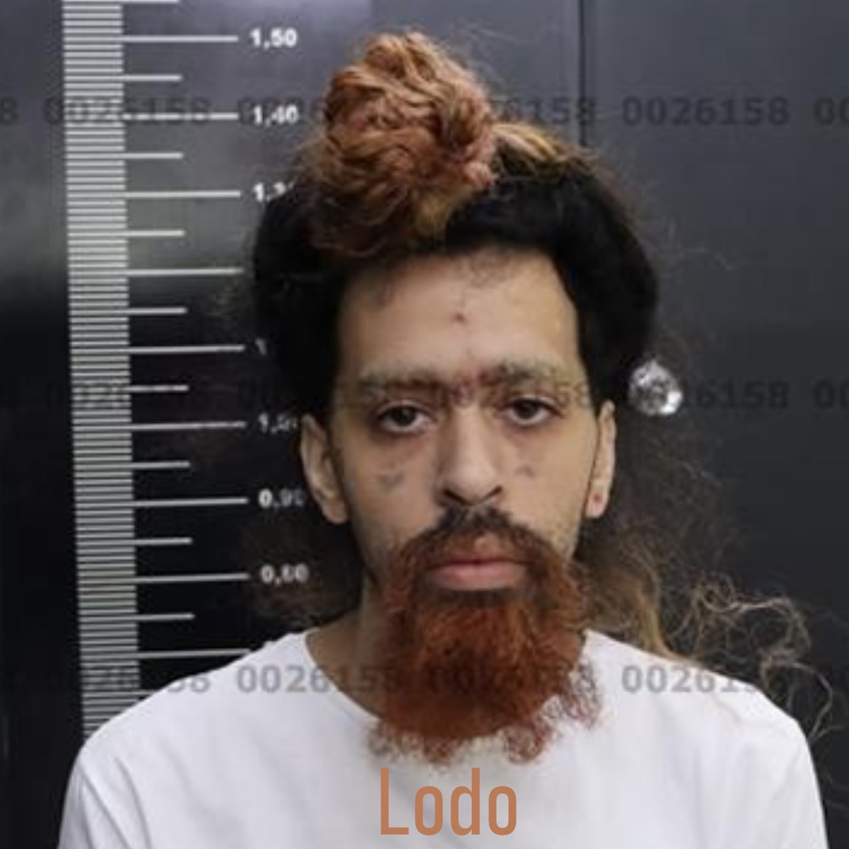 Lodo - Single by Bender.flac album cover