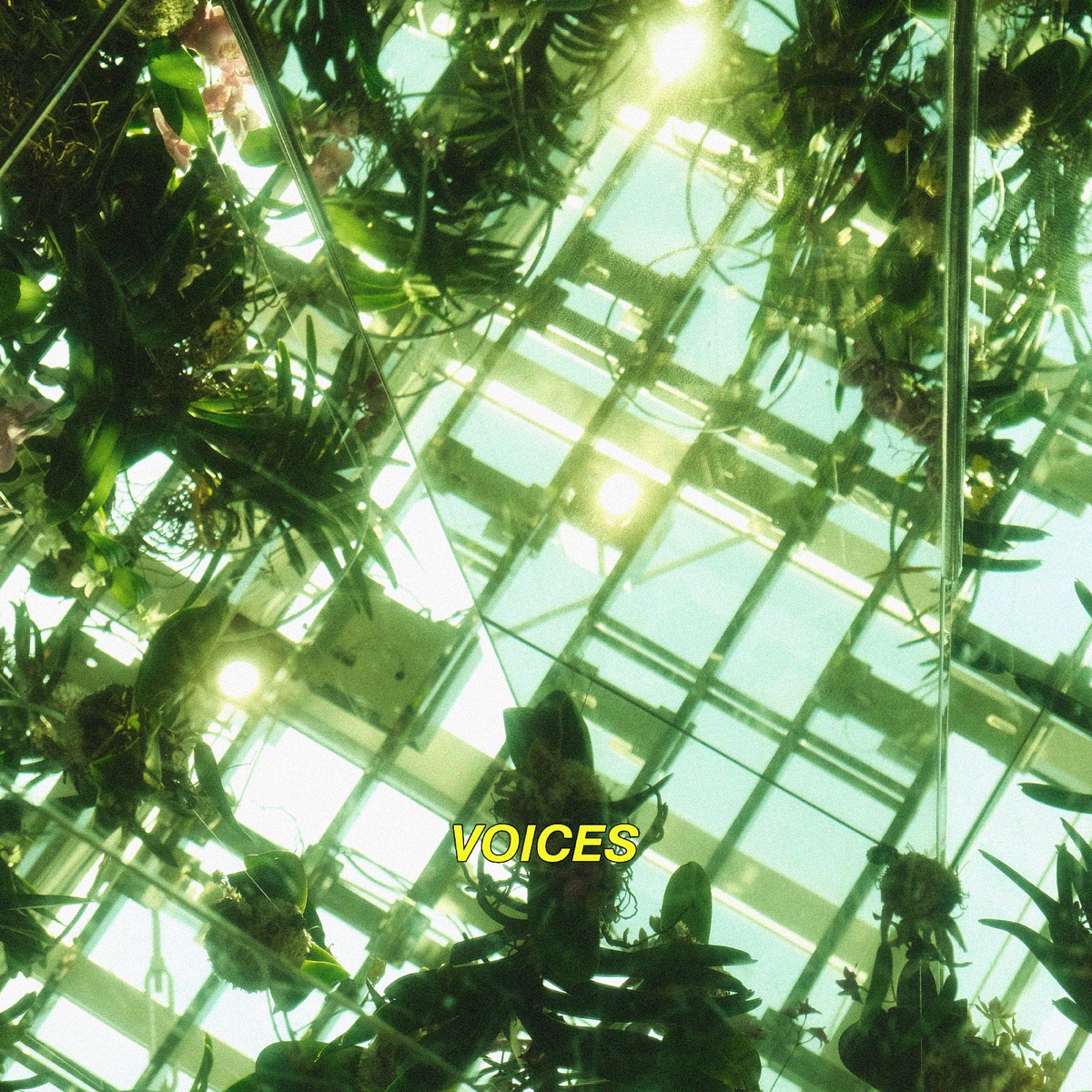 Voices - Single by Hanz & Sem0r album cover