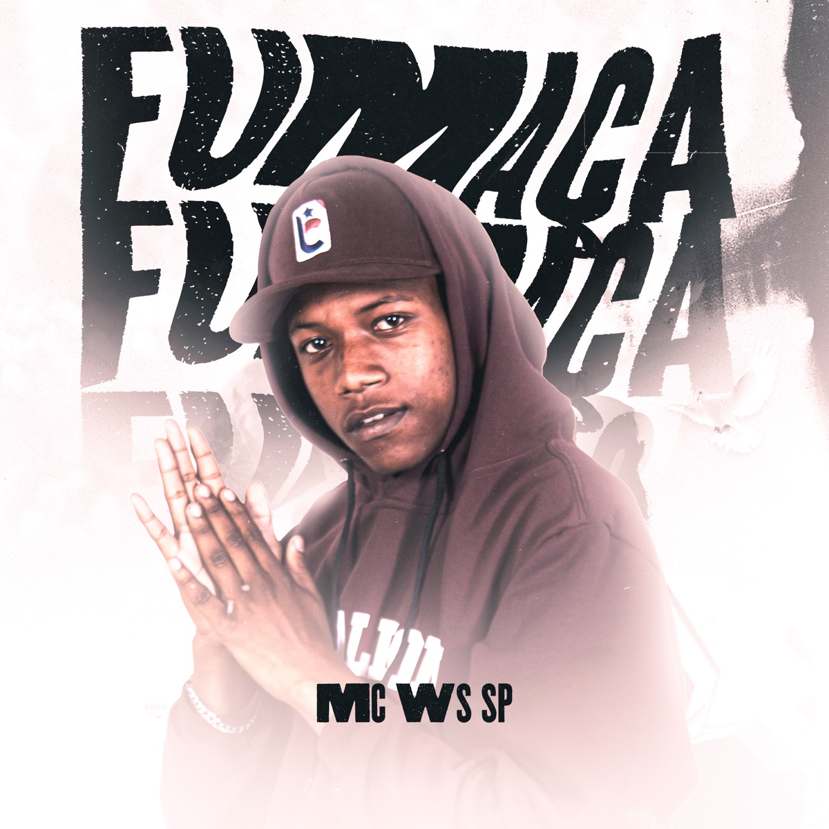 Fumaça - Single by NITATHEPLUG & Mc Ws Sp album cover