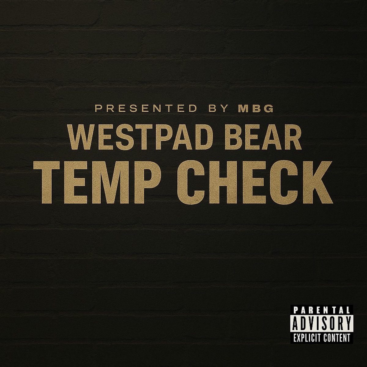 Temp check - Single by West Pad Bear album cover