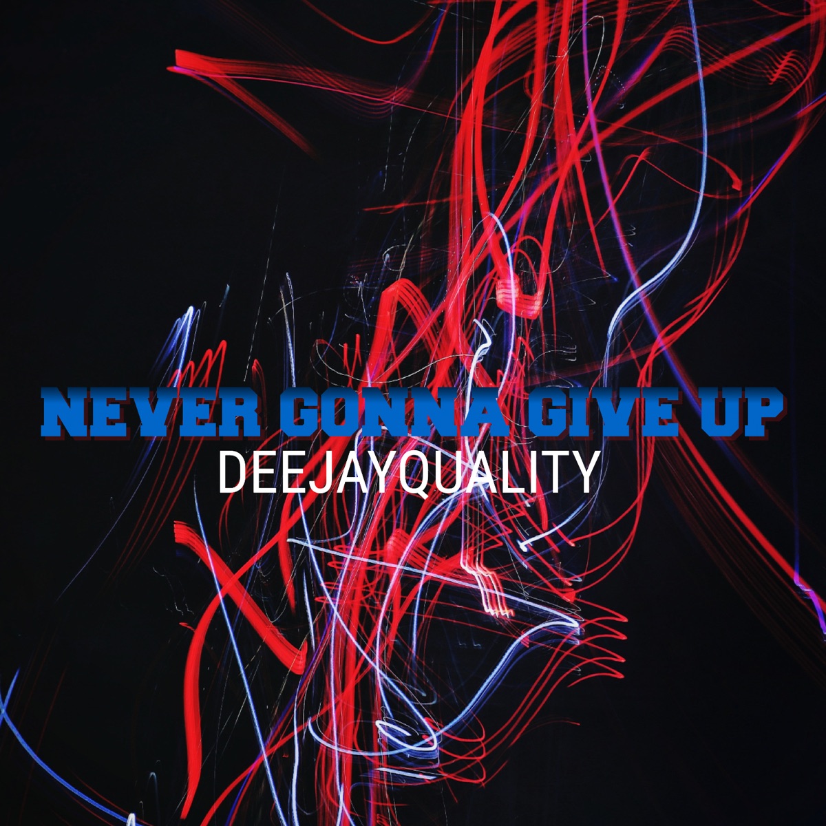 Never Gonna Give Up - Single by DeejayQuality album cover