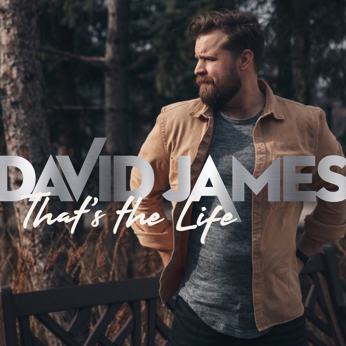 That's The Life - Single by David James album cover