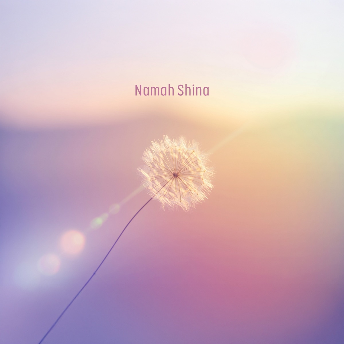 Gentle Ether by Namah Shina album cover