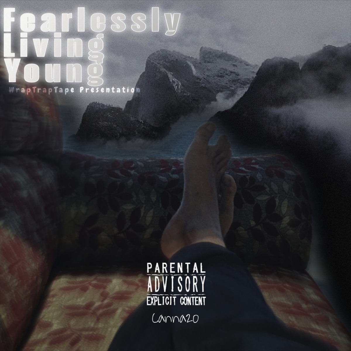 F.L.Y - EP by Canna20 album cover