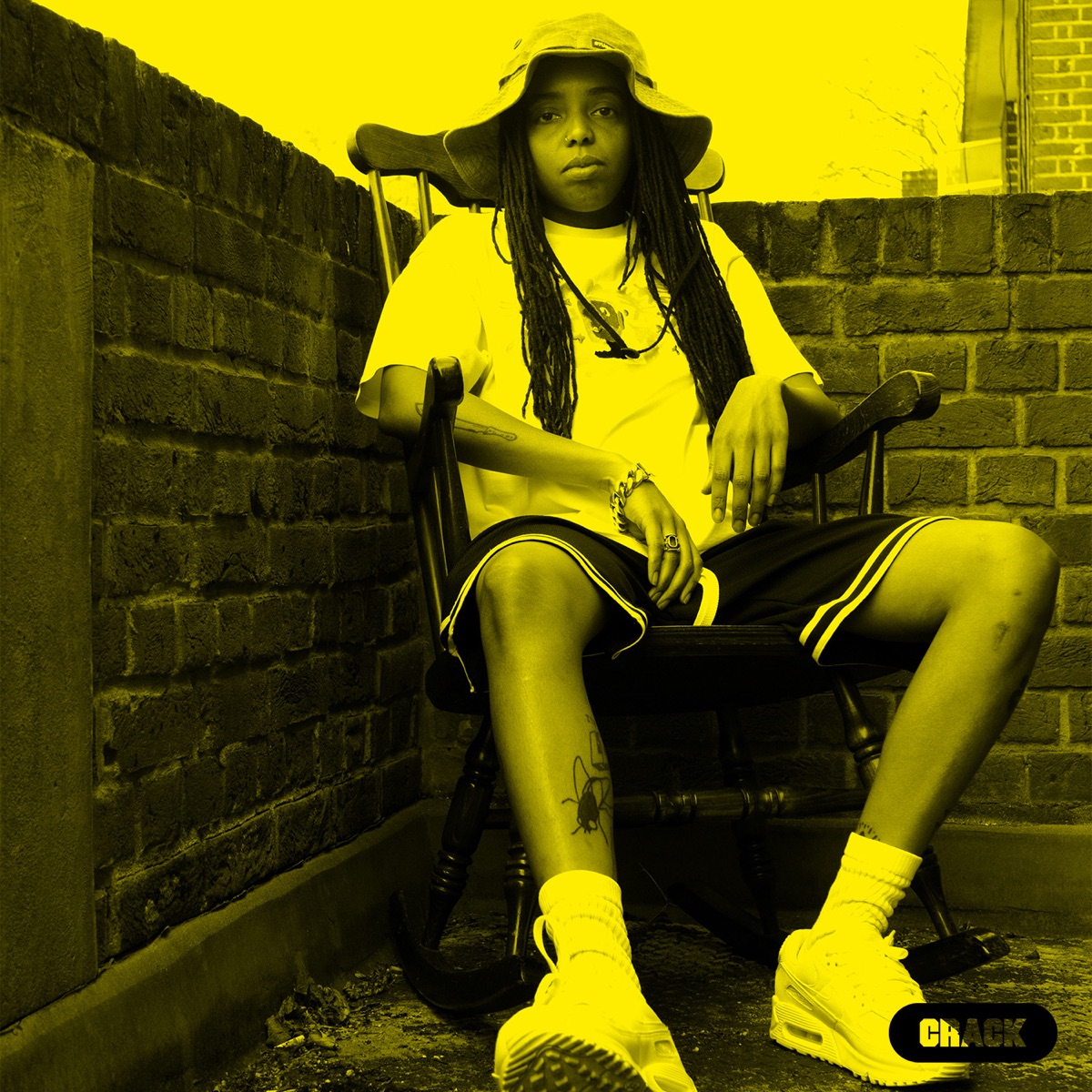 Crack Mix (DJ Mix) by Shy One album cover