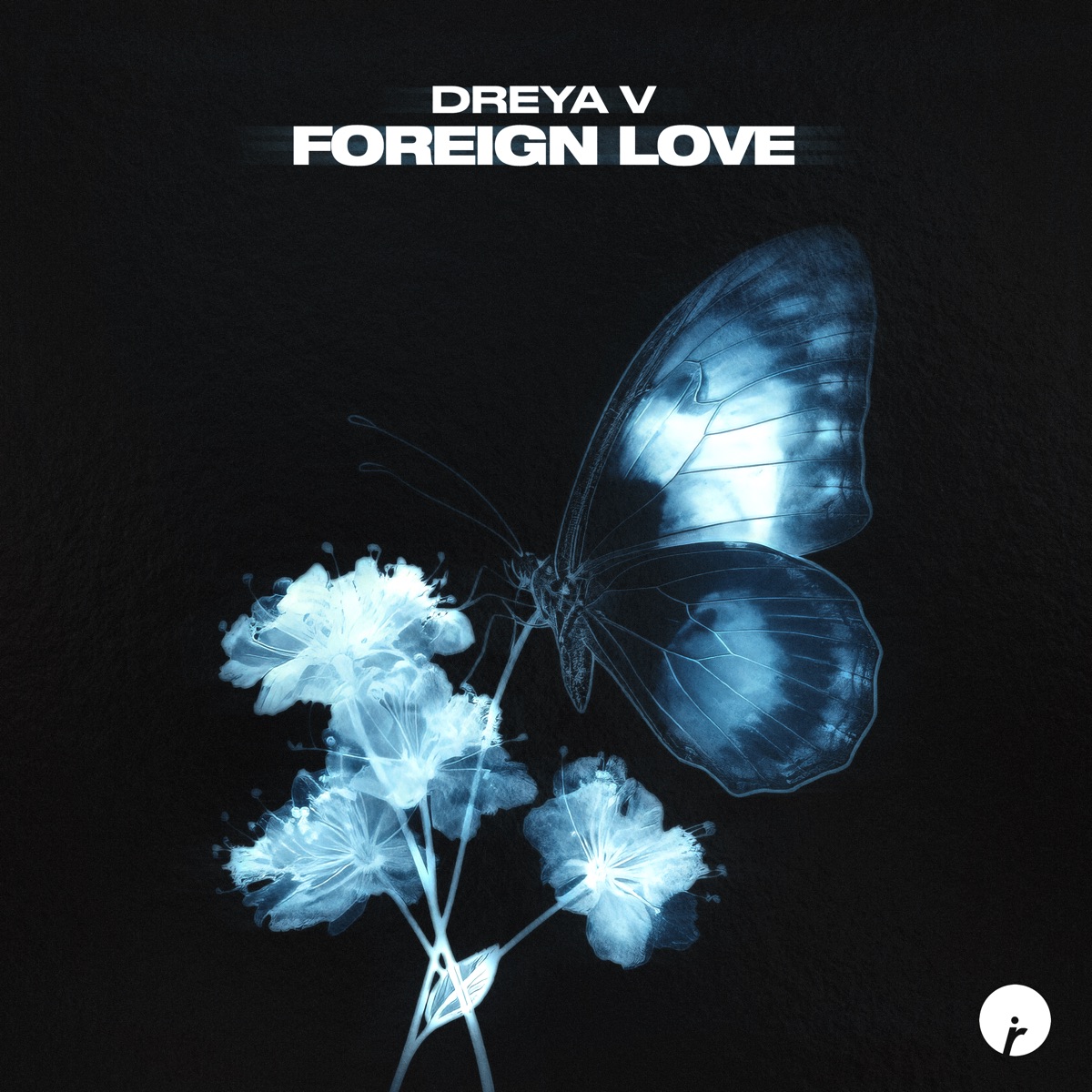 Foreign Love - Single by DREYA V album cover