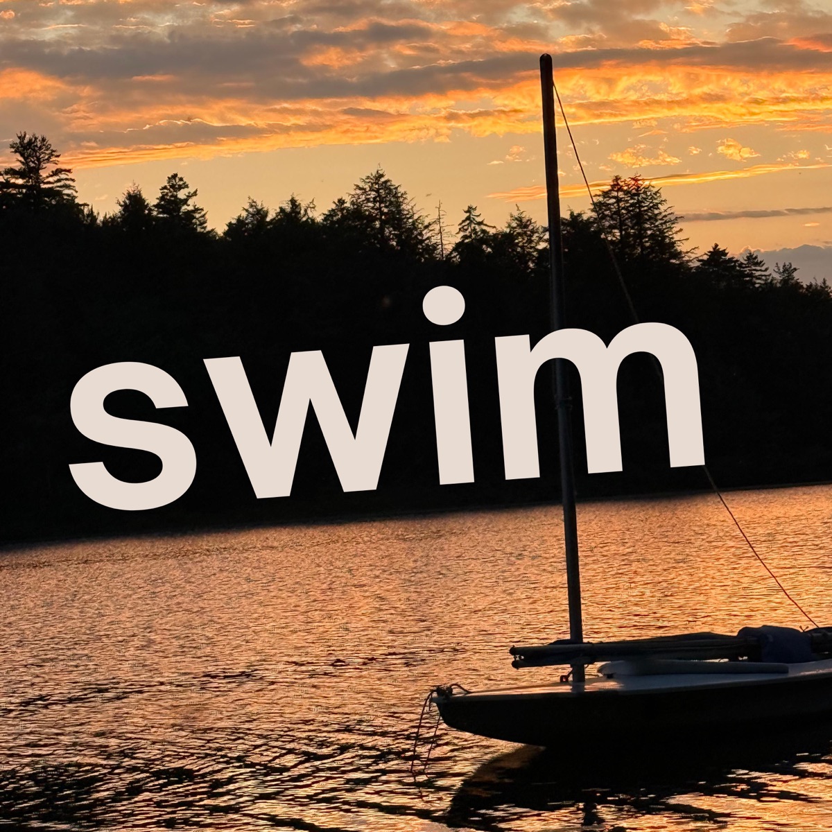 Swim - Single by Mr. Michael Motorcycle album cover