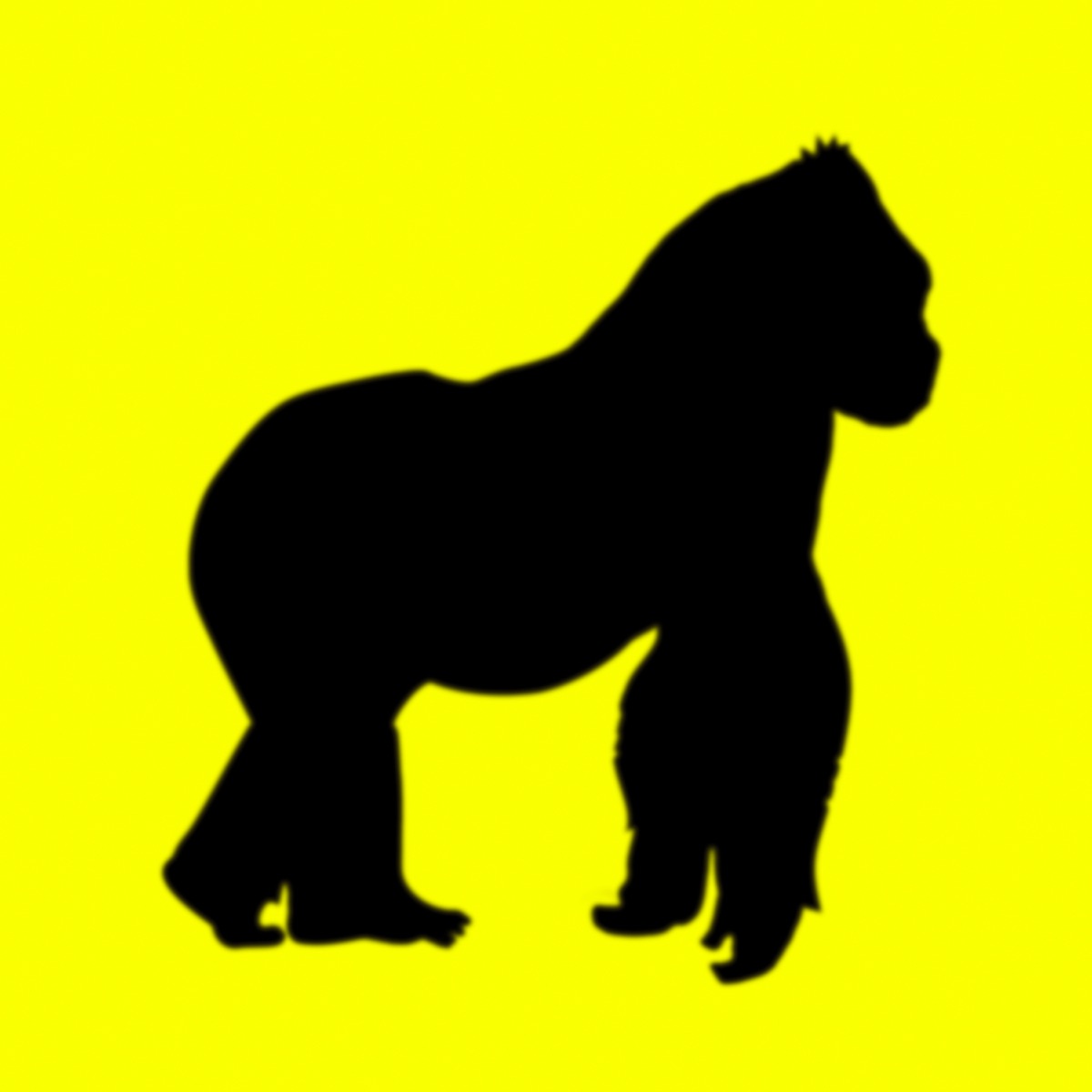 DAISY by rusowsky album cover
