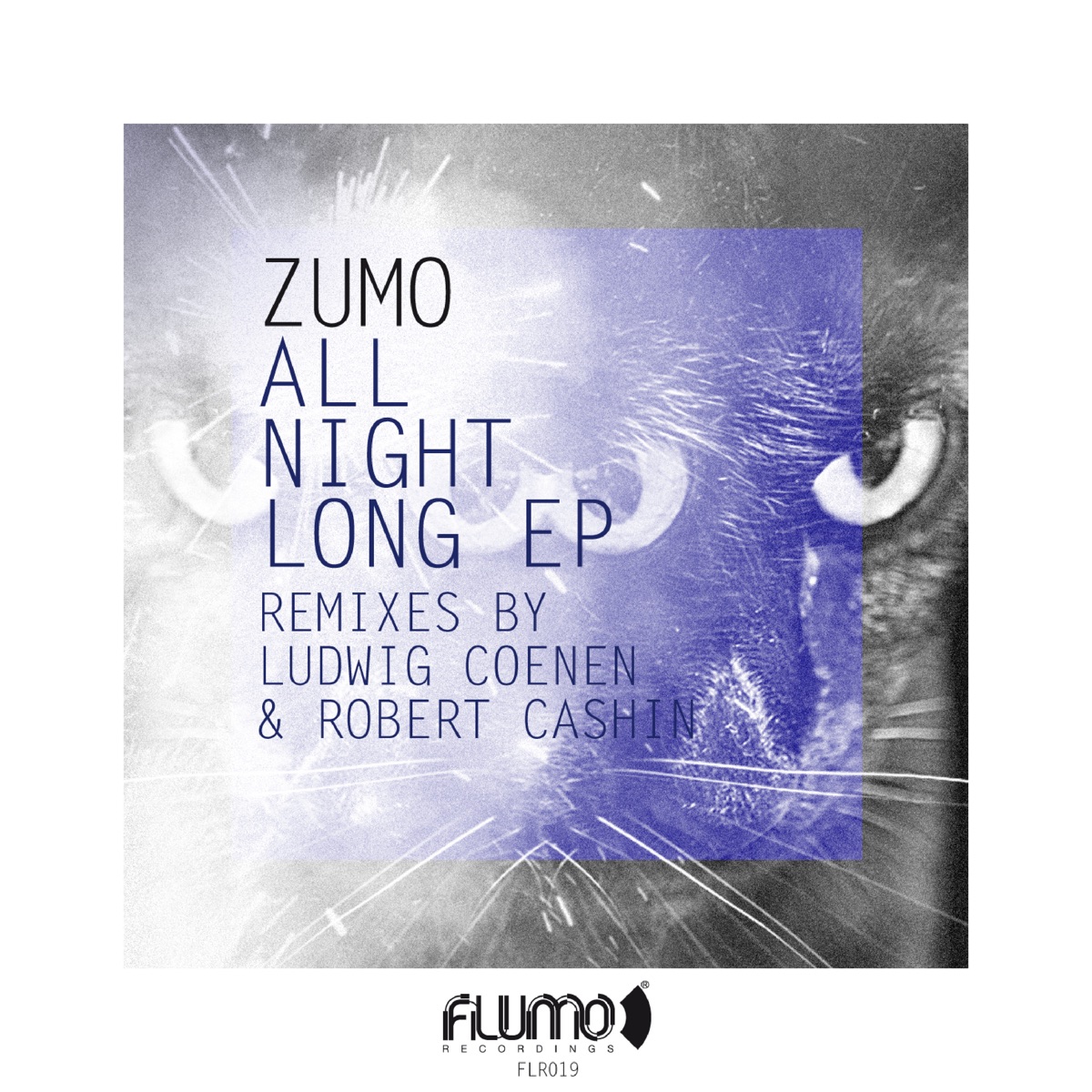 All Night Long - EP by Zumo album cover