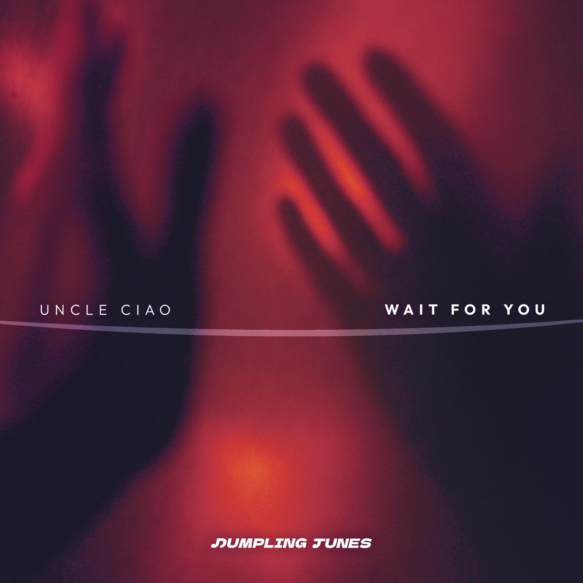 Wait For You - Single by Uncle Ciao album cover