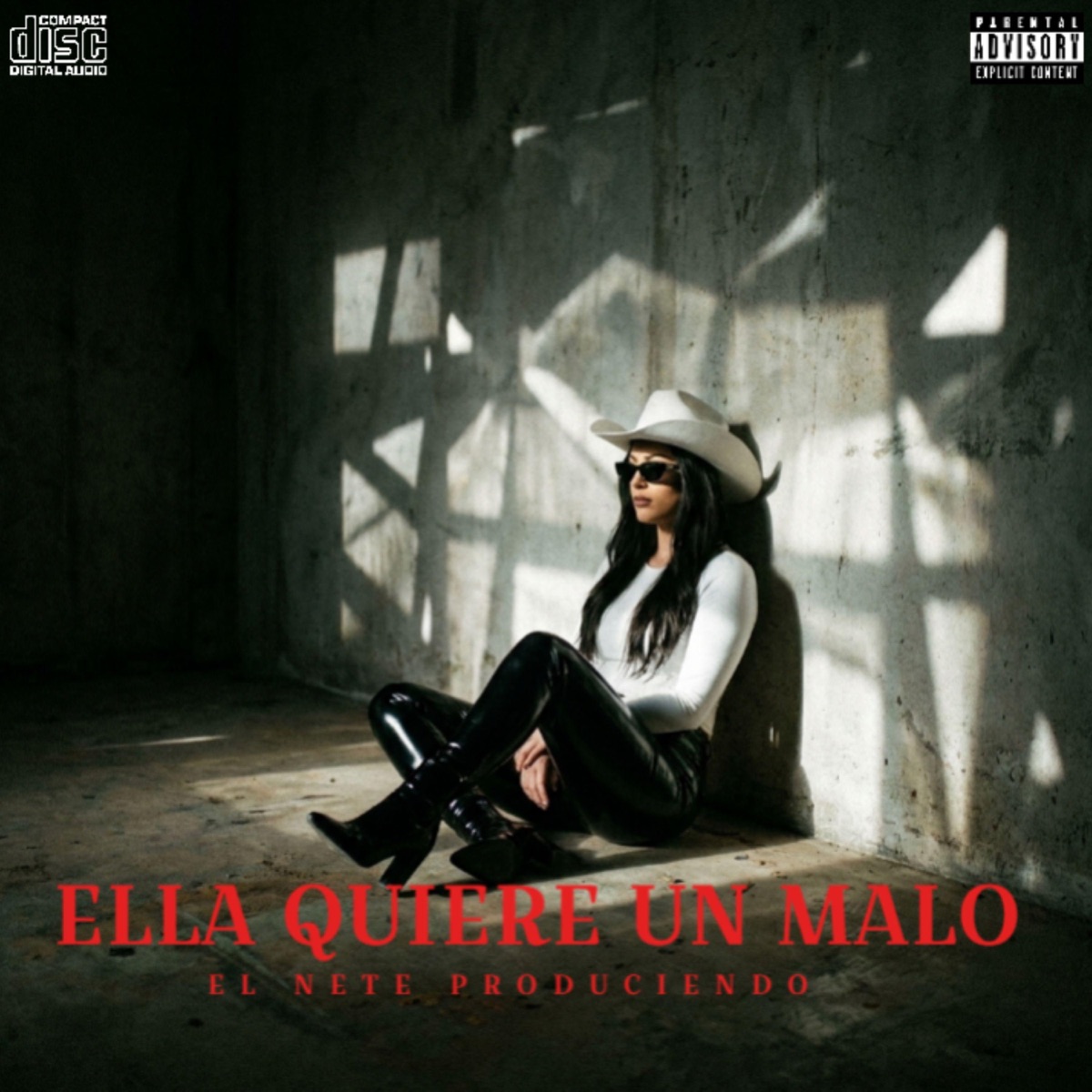 Ella Quiere Un Malo (feat. Gatico Glock) - Single by EL NETE PRODUCIENDO album cover