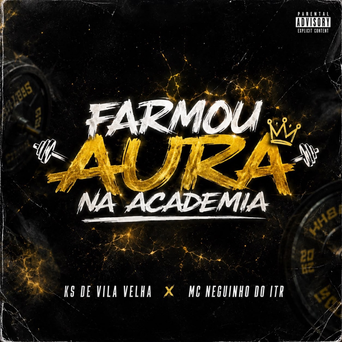 FARMOU AURA NA ACADEMIA - Single by KS DE VILA VELHA & Mc Neguinho do ITR album cover
