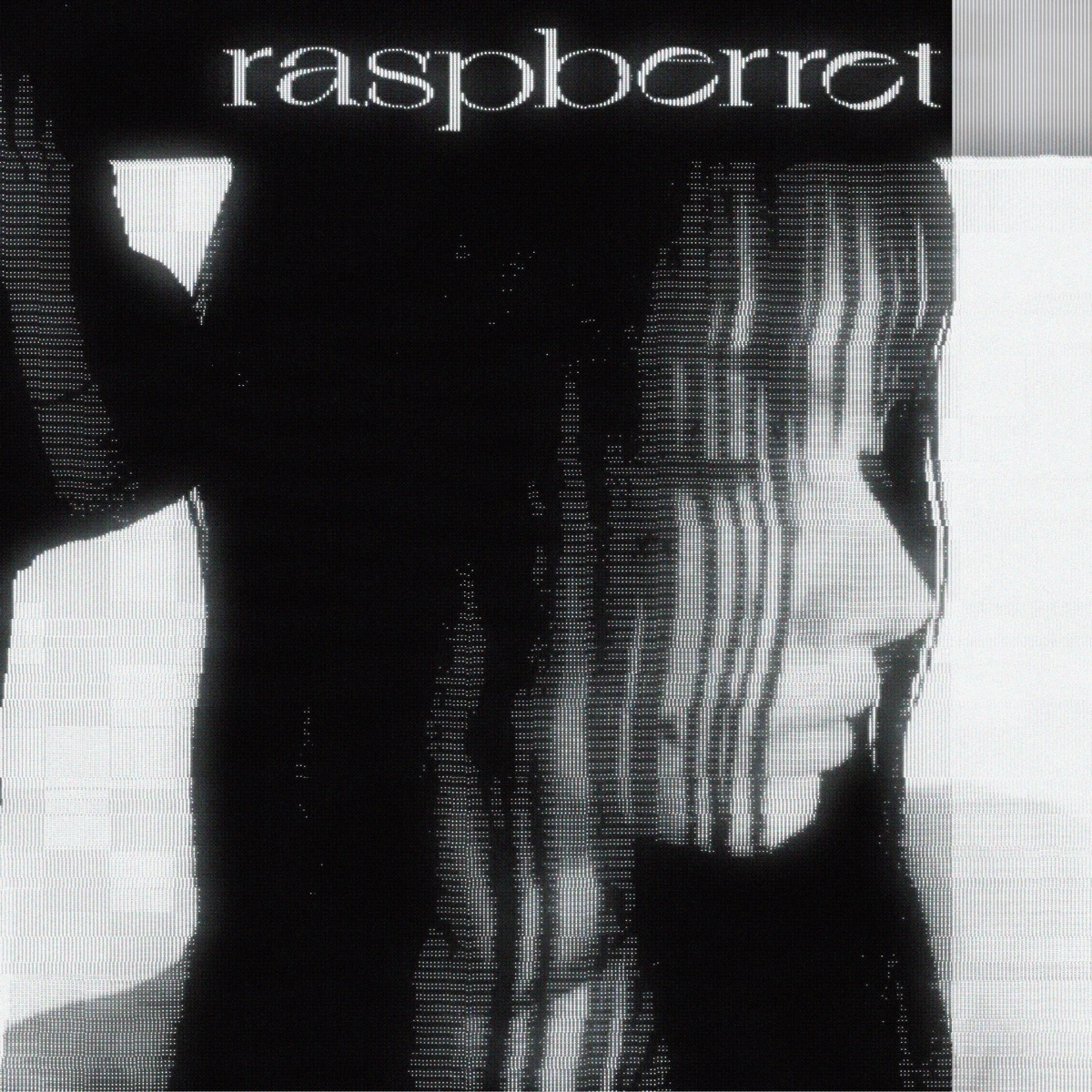 raspberret - Single by Deactivated album cover