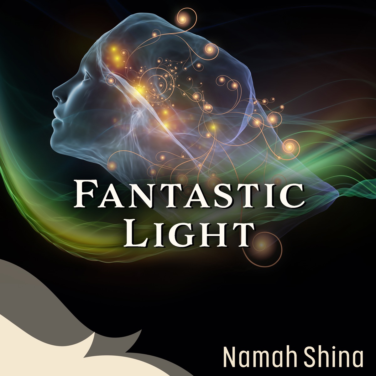 Fantastic Light by Namah Shina album cover