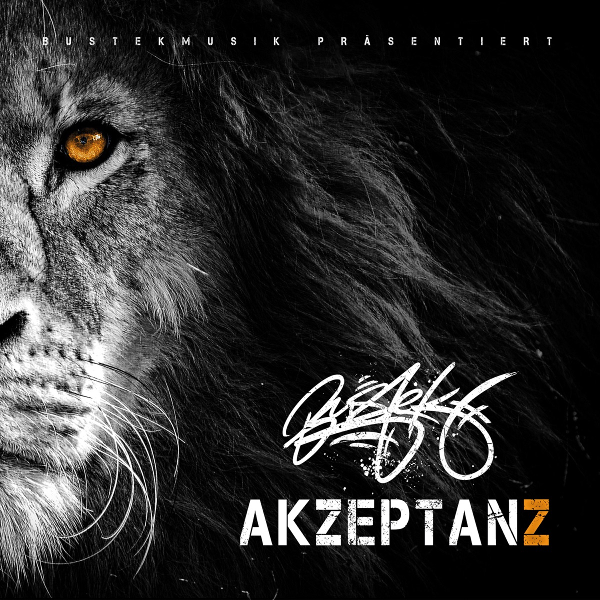 Akzeptanz (feat. Lapaz, Ilber, Goethe, Holy Smokez, Phreaky Flave, Hins, Tumani Beatz, Sam Moser, Panischer & Jens Fischer Rodrian) by Bustek & Rapbellions album cover